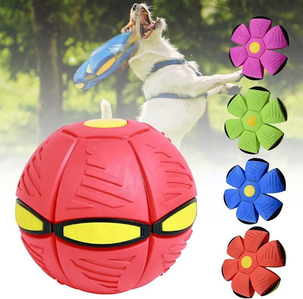 2023 Pet Toy Flying Saucer Ball for Dogs Flying Strange Magic Stomp Saucer Balls